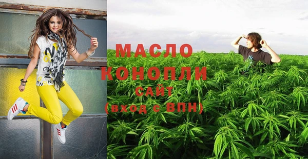 молекула духа Осинники